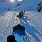 IMG_20230305_174446