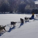 balade avec les chiens de traîneau dans les Pyrénées