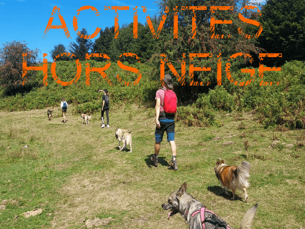 balade avec les chiens de traîneau dans les Pyrénées en kart et en cani rando