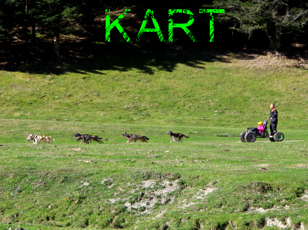cani kart avec les chiens de traîneau dans les Pyrénées