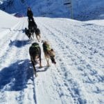 IMG_20221201_114839