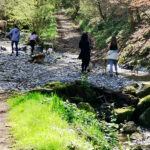 cani rando avec les chiens de traîneau dans les Pyrénées