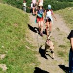 cani rando avec les chiens de traîneau dans les Pyrénées