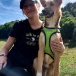 cani rando avec les chiens de traîneau dans les Pyrénées