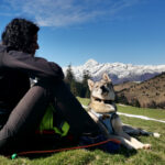cani rando avec les chiens de traîneau dans les Pyrénées