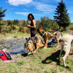 cani rando avec les chiens de traîneau dans les Pyrénées