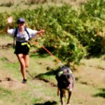 cani rando avec les chiens de traîneau dans les Pyrénées