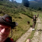 cani rando avec les chiens de traîneau dans les Pyrénées