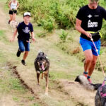 cani rando avec les chiens de traîneau dans les Pyrénées