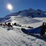 balades avec les chiens de traîneau dans les Pyrénées à Payolle