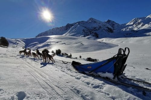 balades avec les chiens de traîneau dans les Pyrénées à Payolle