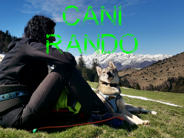 cani rando avec les chiens de traîneau dans les Pyrénée