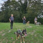 camp nordic bigourdan avec les chiens de traîneau dans les Pyrénées