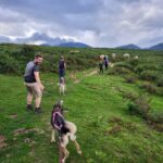 camp nordic bigourdan avec les chiens de traîneau dans les Pyrénées