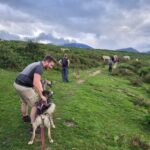 camp nordic bigourdan dans les Pyrénées avec les chiens de traîneau