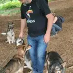 camp nordic bigourdan avec les chiens de traîneau dans les Pyrénées