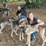camp nordic bigourdan avec les chiens de traîneau dans les Pyrénées