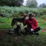 camp nordic bigourdan avec les chiens de traîneau dans les Pyrénées